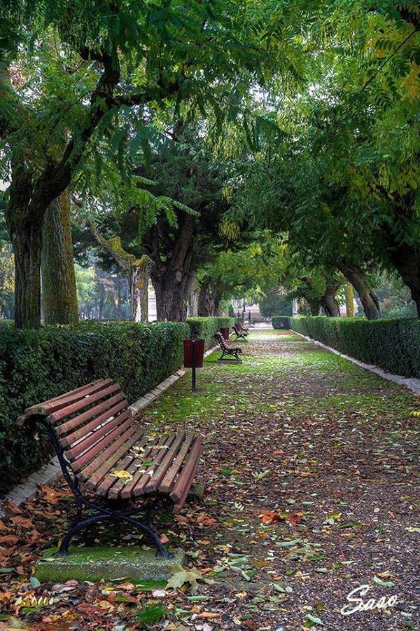 Pension Casa Pinilla Cascante Esterno foto